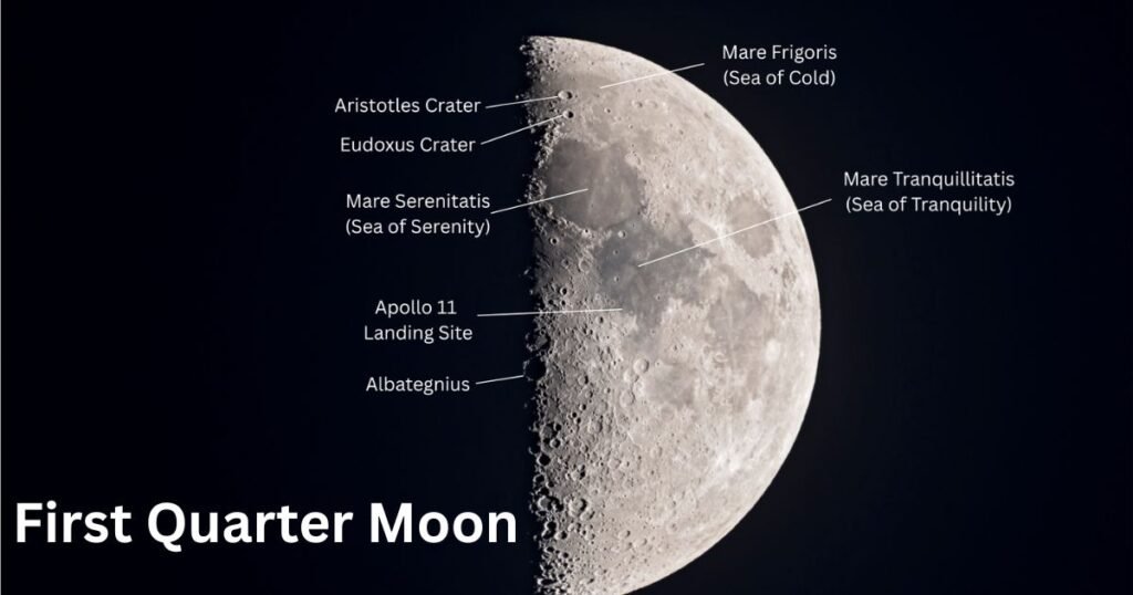 First Quarter Moon — Rise, Set, Visibility & Sky Guide